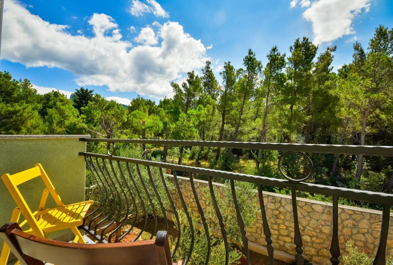 In Olive Garden Apartment Стариград-Пакленица Екстериор снимка